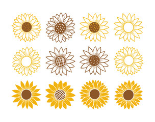 Sunflower simple icon. Flower silhouette vector illustration. Sunflower graphic logo, hand drawn icon for packaging, decor. Petals frame, black silhouette isolated on white background
