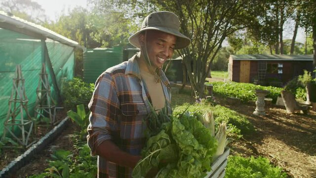Mixed race male farmer working outdoors carrying vegetable basket 