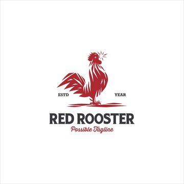Rooster Cock Logo Design Vector Image