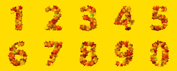 Numbers of autumn leaves isolated on yellow background. Set of numbers made of autumn leaves.