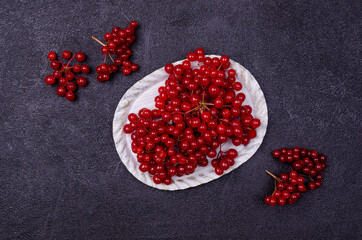 Red viburnum berries