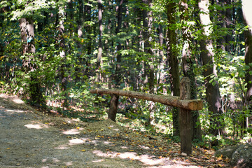 Autumn path and hiking trail in the national park Fru&scaron;ka gora mountain in Serbia on a sunny day