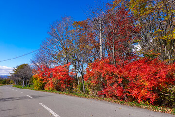Obraz premium 秋の百沢街道（岩木山と白神山地の間を通り弘前と日本海側の鯵ヶ沢を結ぶ山岳観光道路）