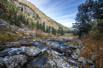 mountain river in the Altai
