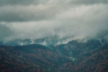 Morning fog over fir mountain forest, misty landscape, darkness clouds. Carpathians, Ukraine