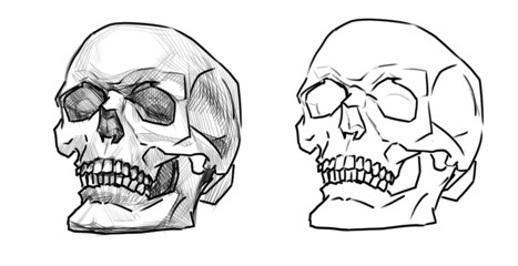 Sketch academic drawing skull digital art. human skillet isoletad on white. Death symbol. Halloween decoration. linear freehand drawing. day of the Dead, halloween holiday illustration design graphic 