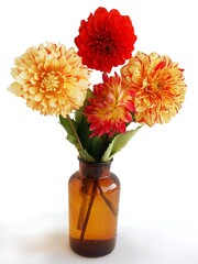 bouquet of multicolor dahlias flowers in vase