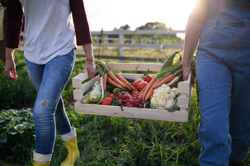 Unrecognizable female farmers carrying crate with homegrown vegetables outdoors at community farm.