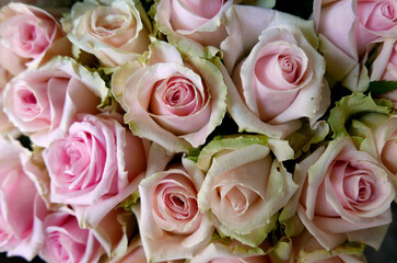 allegro e elegante mazzo di piccole rose viste da vicino