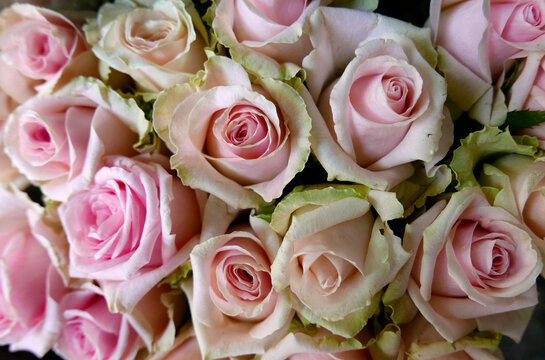 allegro e elegante mazzo di piccole rose viste da vicino