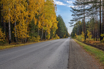 Fototapeta premium The highway passes through the autumn forest