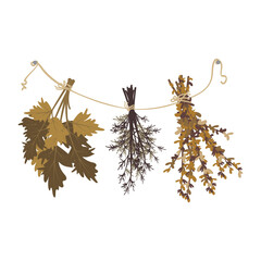 Bunches of dried grass hang from rope. Crop supply, bath broom, or witch herb for potion