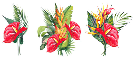 Tropical arrangements with red anthurium, strelitzia, heliconia flowers and palm leaves. Watercolor illustration on white background.