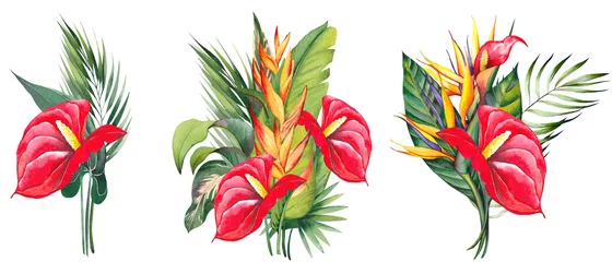 Deurstickers Tropical arrangements with red anthurium, strelitzia, heliconia flowers and palm leaves. Watercolor illustration on white background. © JeannaDraw