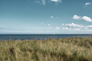Fototapeta na wymiar grass covered dune and baltic sea against beautiful sky