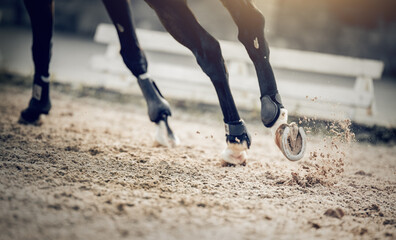 Equestrian sport. Dust under the horse's hooves. Legs of a galloping horse. Hooves with horseshoes...
