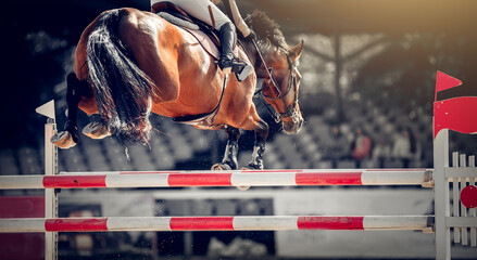 Equestrian sport, jumping. Overcome obstacles.