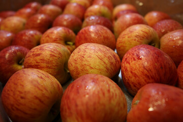 Apples imported from abroad are kept for sale.