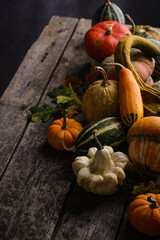 Various decorative pumpkins and dry leaves.