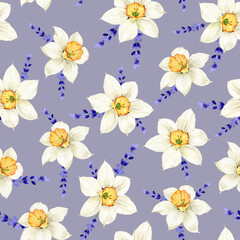 seamless pattern with white daffodils flowers and lavender, watercolor illustration