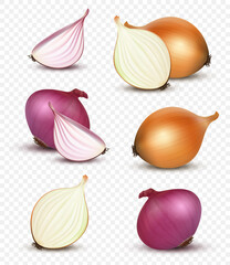 Onion realistic. Natural healthy sliced vegetables decent vector 3d onion products illustration isolated - obrazy, fototapety, plakaty