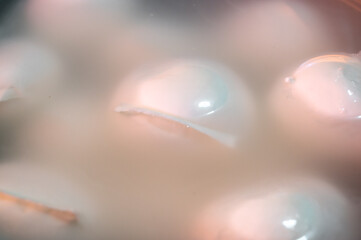 Cheese collection, white balls of Italian soft cheese mozzarella di bufala campana floating is water