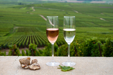 Glasses of white and rose brut champagne wine, firestones from vineyards soil and view on grand cru vineyards of Montagne de Reims near Verzenay, Champagne, France