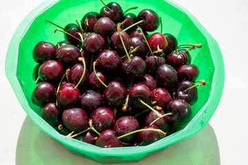New harvest of fresh ripe dark red cherry berry in Provence, France