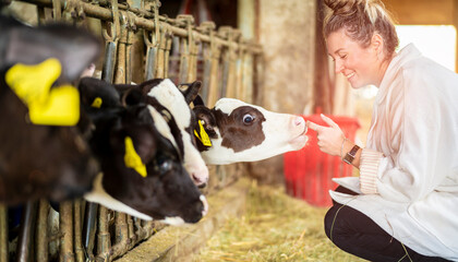 junge Frau besucht die jungen Rinder im Stall