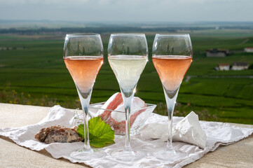 Glasses of white and rose brut champagne wine and examples of vineyard soils, white chalk stones and firestones and view on grand cru vineyards of  Montagne de Reims near Verzenay, Champagne, France