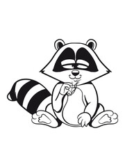 Waschbär grinsen lächeln 