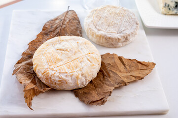 Cheese collection, semi-hard French blue cheese roquefort from Roquefort-sur-Soulzon, France served with sweet cold white french wine