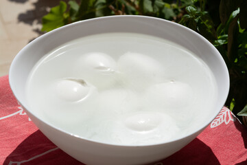 Cheese collection, white balls of Italian soft cheese mozzarella di bufala campana floating is water