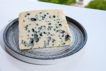 Cheese collection, semi-hard French blue cheese roquefort from Roquefort-sur-Soulzon, France