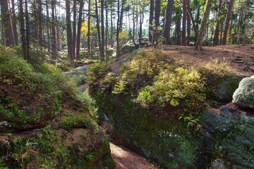 Toulovcovy mastale Sandstone rock city Czech Republic