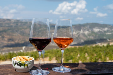 Wine industry of Cyprus island, tasting of red and rose dry wines on winery with view on vineyards and south slopes of Troodos mountain range.