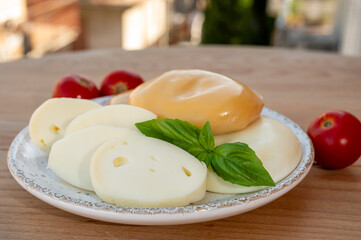 Cheese collection, variety of Italian cow milk cheese flat scamorza with Italian houses on background