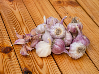 Heap of garlic on a wooden background