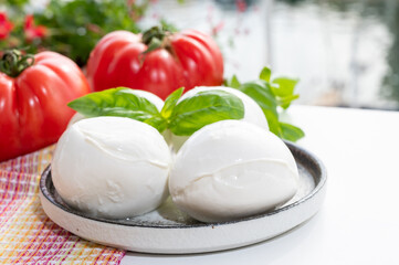 Cheese collection, fresh Italian soft cheese mozzarella di bufal campana served with fresh basil and tomatoes