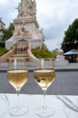 Drinking of brut champagne sparkling wine in street cafe in old central part of city Reims, Champagne, France