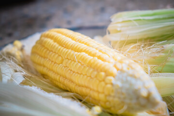 Fresh Corncob with selective focus and blur background.