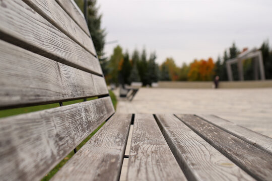 parallel lines of wooden slats benches in the park