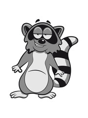 Waschbär grinsen lächeln 