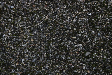 Gravel Ground Texture