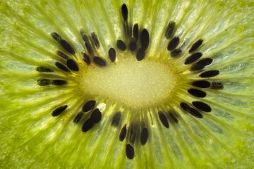 Macro kiwi slice. Transparent closeup texture of kiwi.