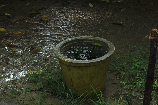Empty rusted or dust old flower pot filled with rain water in the rain