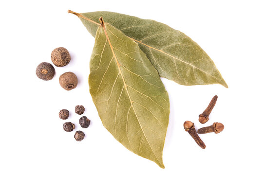 Two bay leaves and various dry spices isolated on white background. Organic food. Food background. Top view