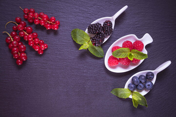 ripe berry in a white dish - blackberries, raspberries, blueberries and red currants