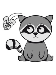 Waschbär Fliege fliegen 