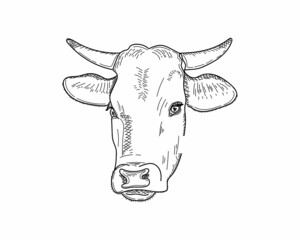 Vector illustration cow milk farm concept sketch in silhouette on a white background.Perfect for greeting cards, party invitations, posters, stickers, pin, scrapbooking, icons.